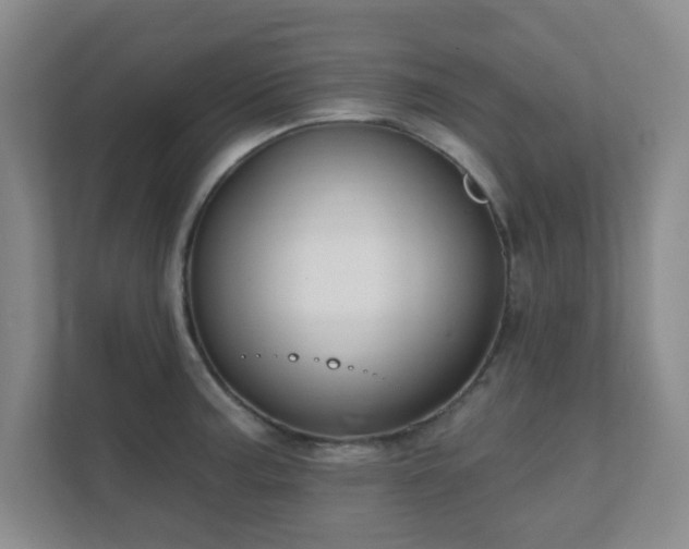 X0000112391187200908201536