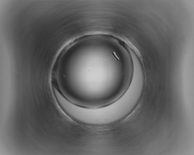 X0000112391189200908201536