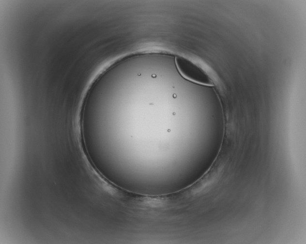 X0000112391191200908201536