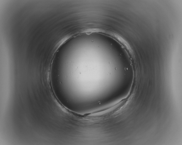 X0000112391193200908201536