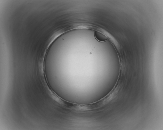 X0000112391194200908201536