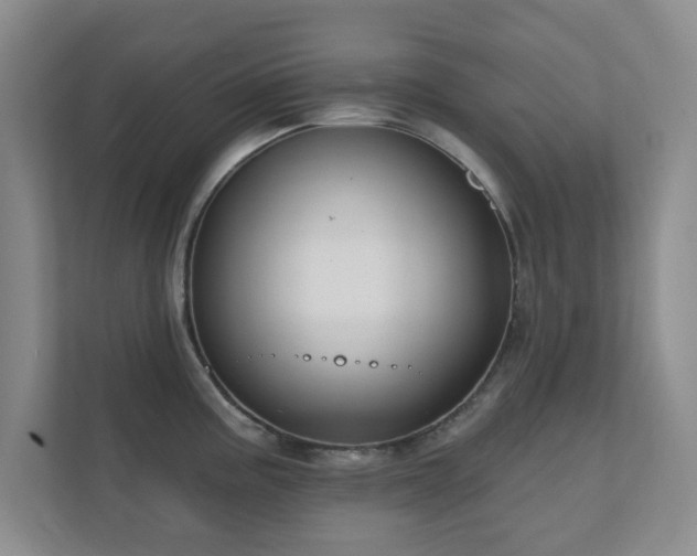 X0000112391195200908201536