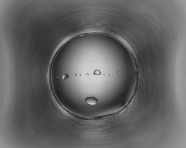 X0000112391197200908201536