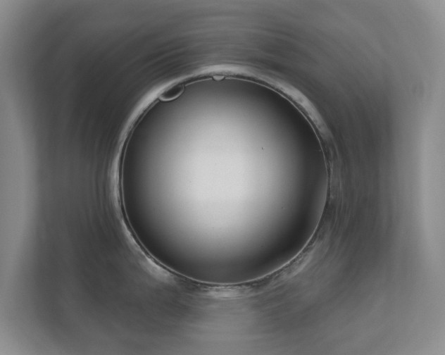 X0000112391199200908201536