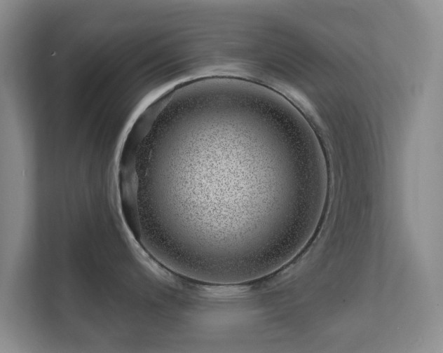 X0000112391200200908201536