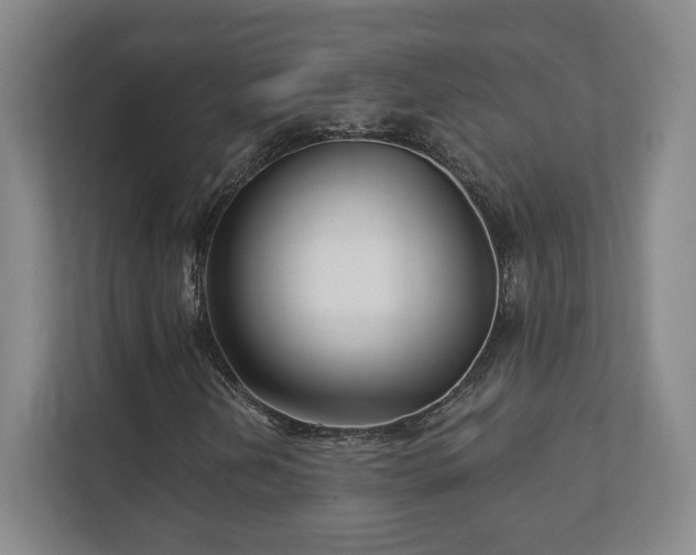 X0000112391202200908201535