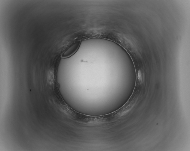 X0000112391203200908201535