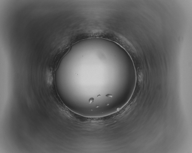 X0000112391204200908201535