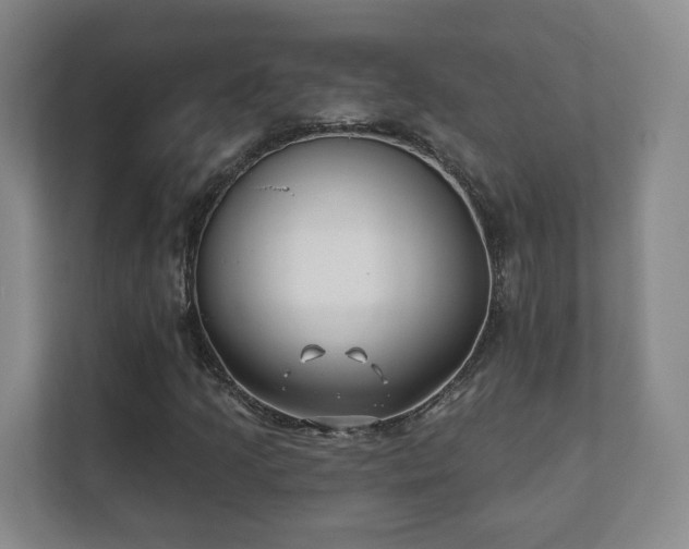 X0000112391205200908201535