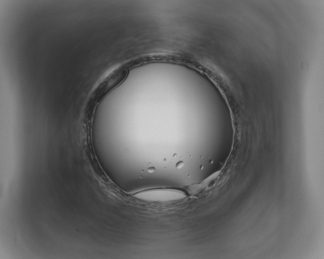 X0000112391208200908201535