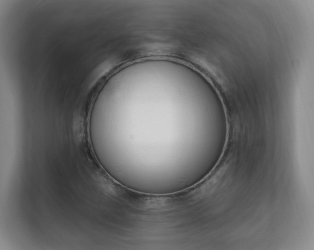 X0000112391211200908201535