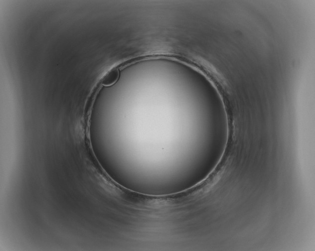 X0000112391212200908201535