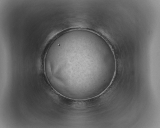 X0000112391215200908201535