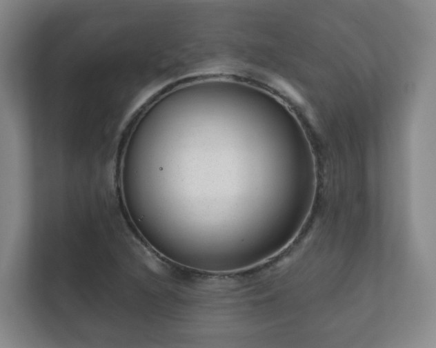 X0000112391216200908201535