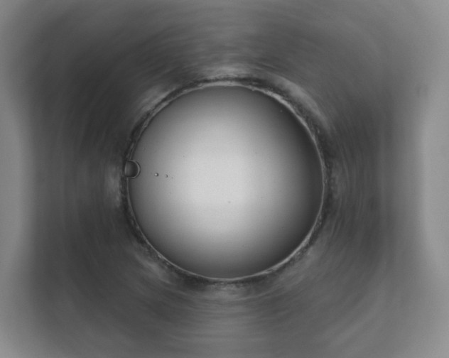 X0000112391217200908201535