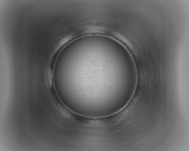 X0000112391219200908201535