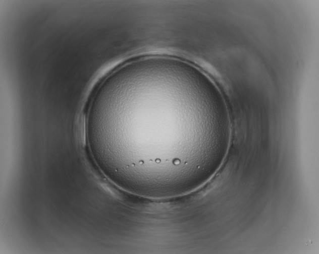 X0000112391223200908201535