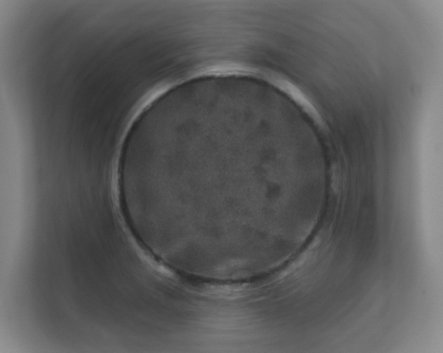 X0000112391229200908201536