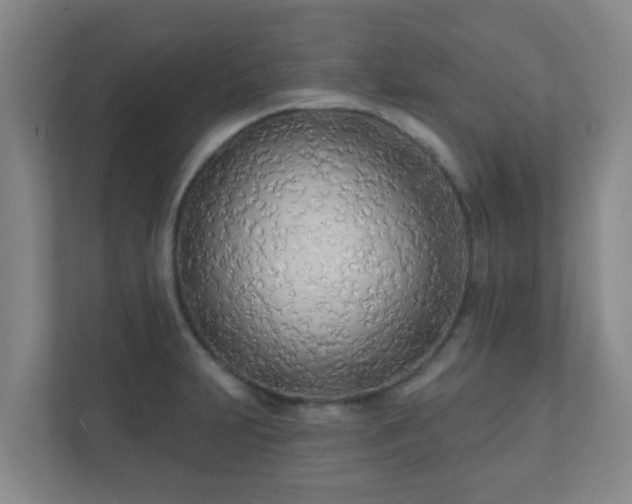 X0000112391231200908201536