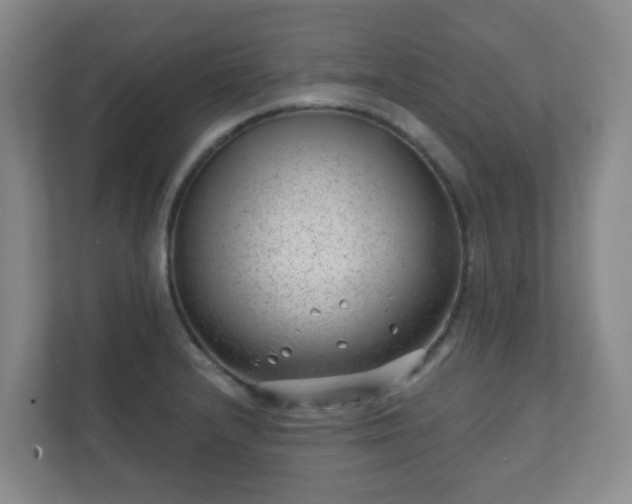 X0000112391232200908201536