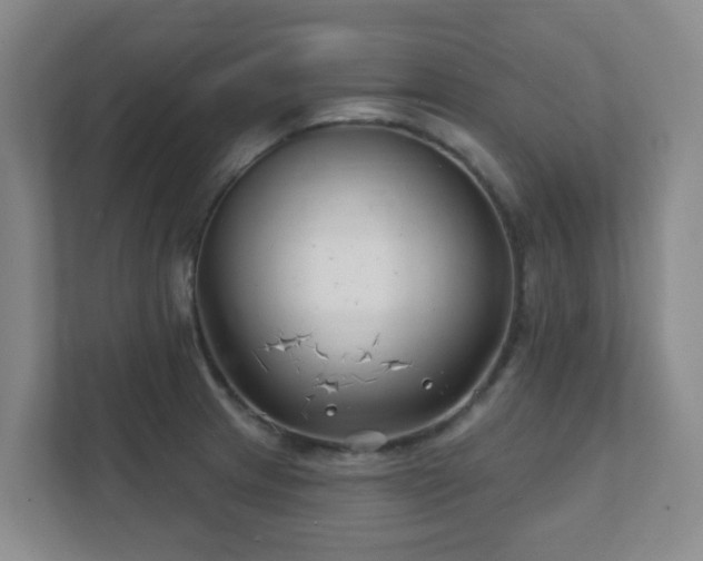 X0000112391233200908201536