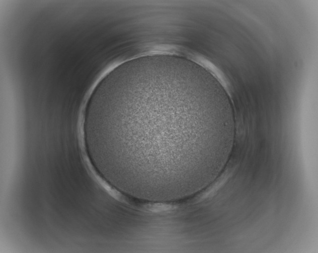 X0000112391235200908201536