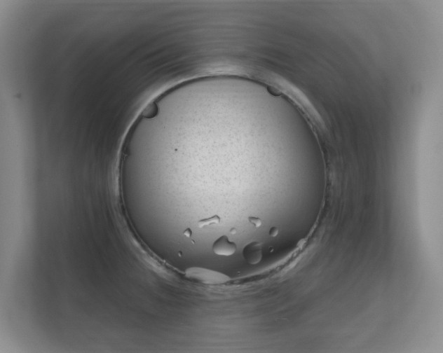 X0000112391236200908201536