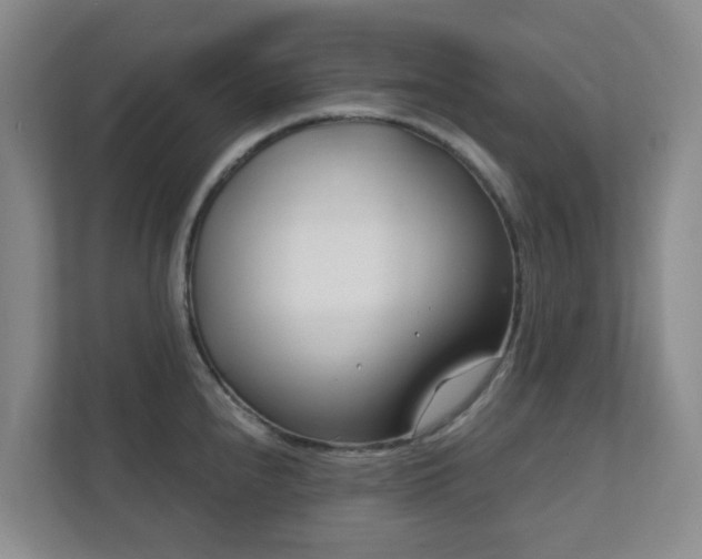 X0000112391240200908201536