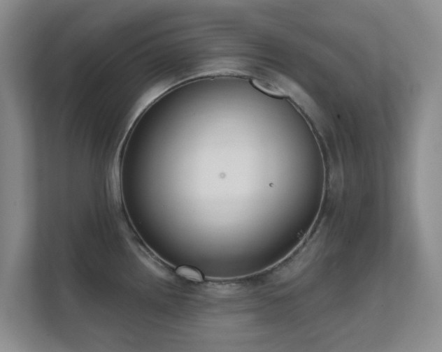 X0000112391242200908201536