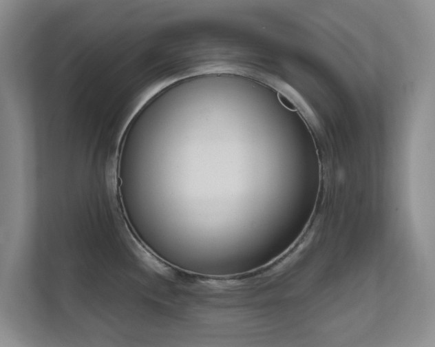 X0000112391244200908201536