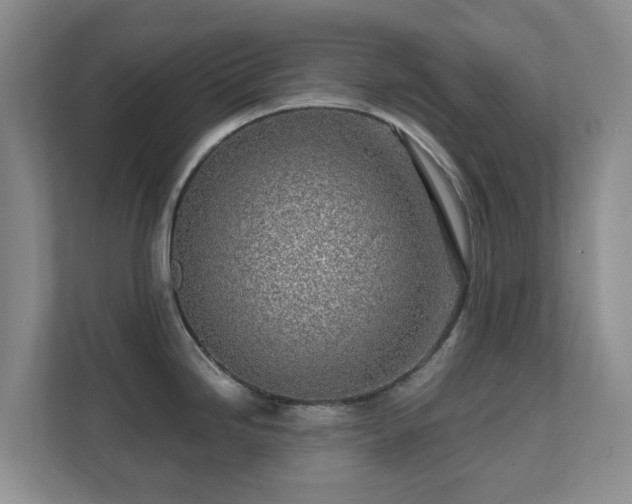 X0000112391246200908201536