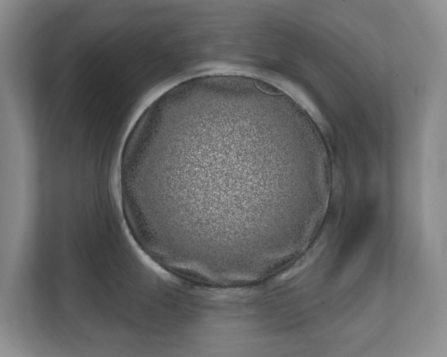 X0000112391247200908201536