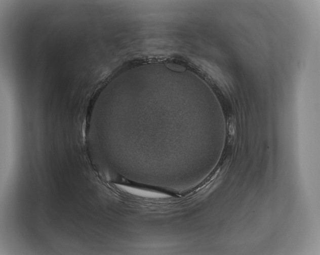 X0000112391252200908201535