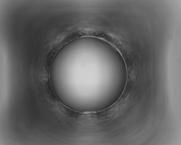 X0000112391253200908201535