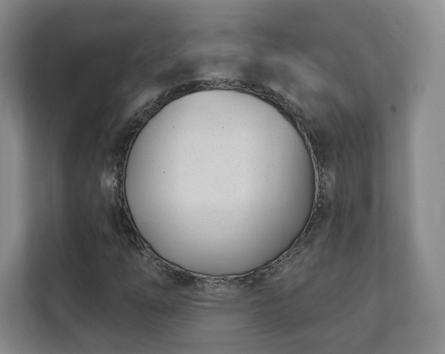 X0000112391254200908201535