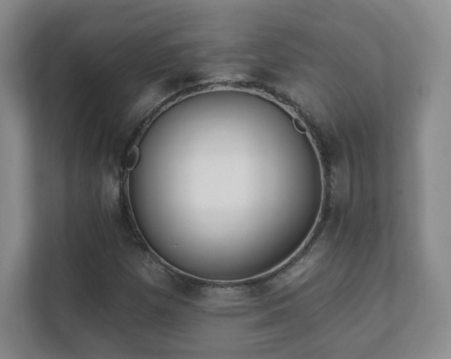 X0000112391257200908201535