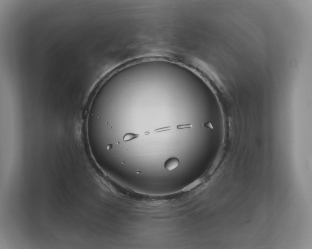 X0000112391260200908201535