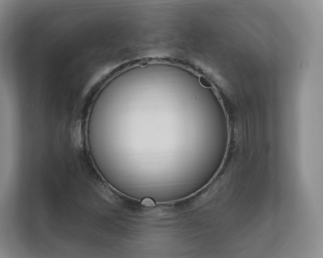 X0000112391262200908201535