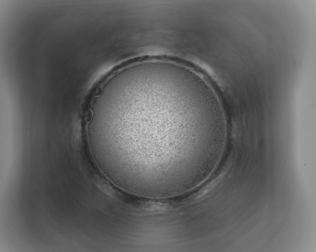 X0000112391263200908201535