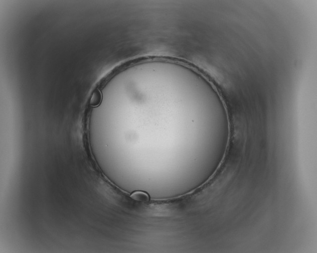 X0000112391264200908201535