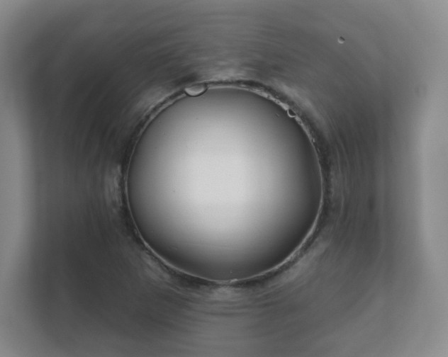 X0000112391265200908201535