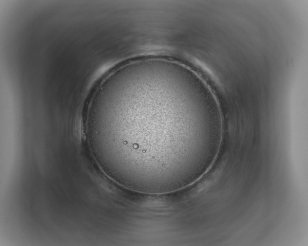 X0000112391267200908201535