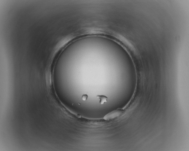 X0000112391269200908201535