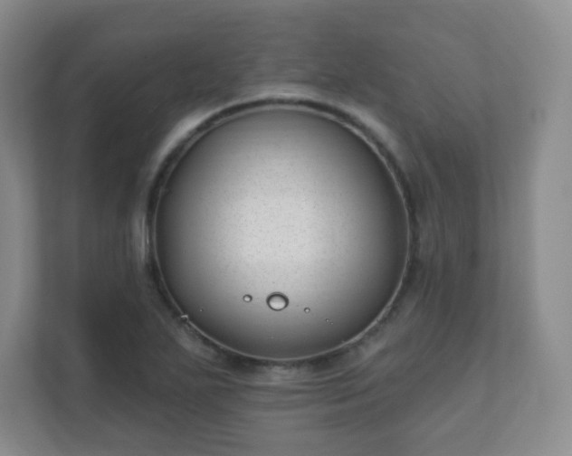 X0000112391271200908201535