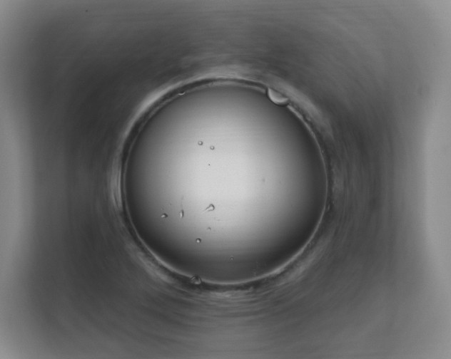 X0000112391272200908201535