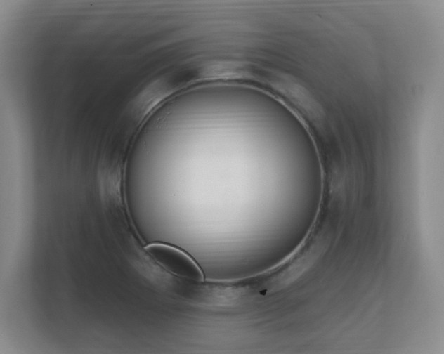 X0000112391273200908201535