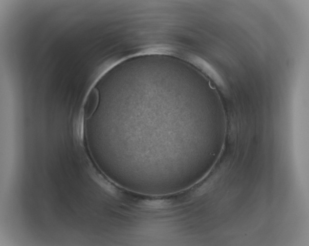 X0000112391276200908201535