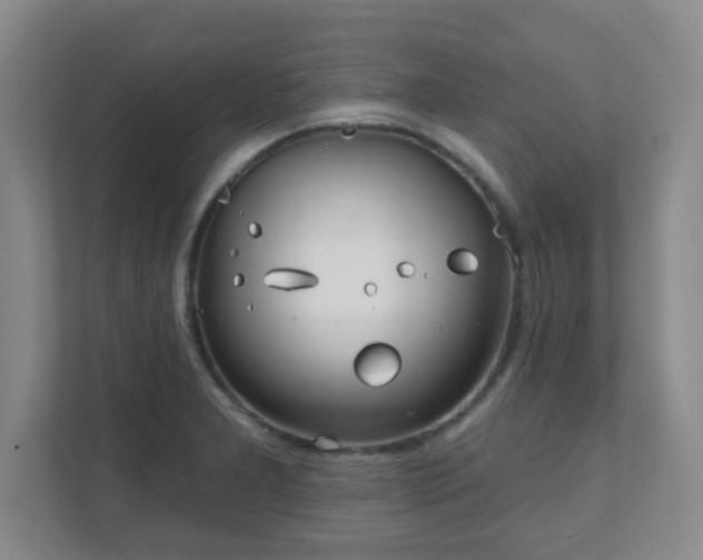 X0000112391277200908201535