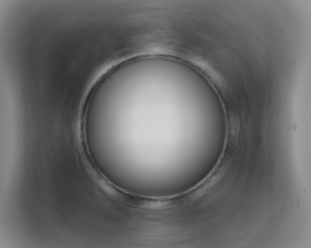 X0000112391278200908201535