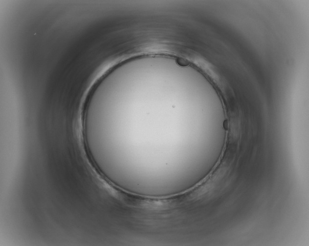 X0000112391286200908201535